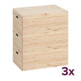 Houten kist met deksel large (voordeelbundel) Zeller Present